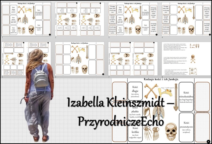 Notatka okienkowa/stacja zadaniowe/notatka interaktywna/notatka graficzna/karta pracy/sketchnotka „Rodzaje i funkcje kości”, „Aparat ruchu. Budowa szkieletu”. w pdf. Biologia 7, dział „Aparat ruchu”. Materiał wykonany na podstawie podręcznika z wydawnict
