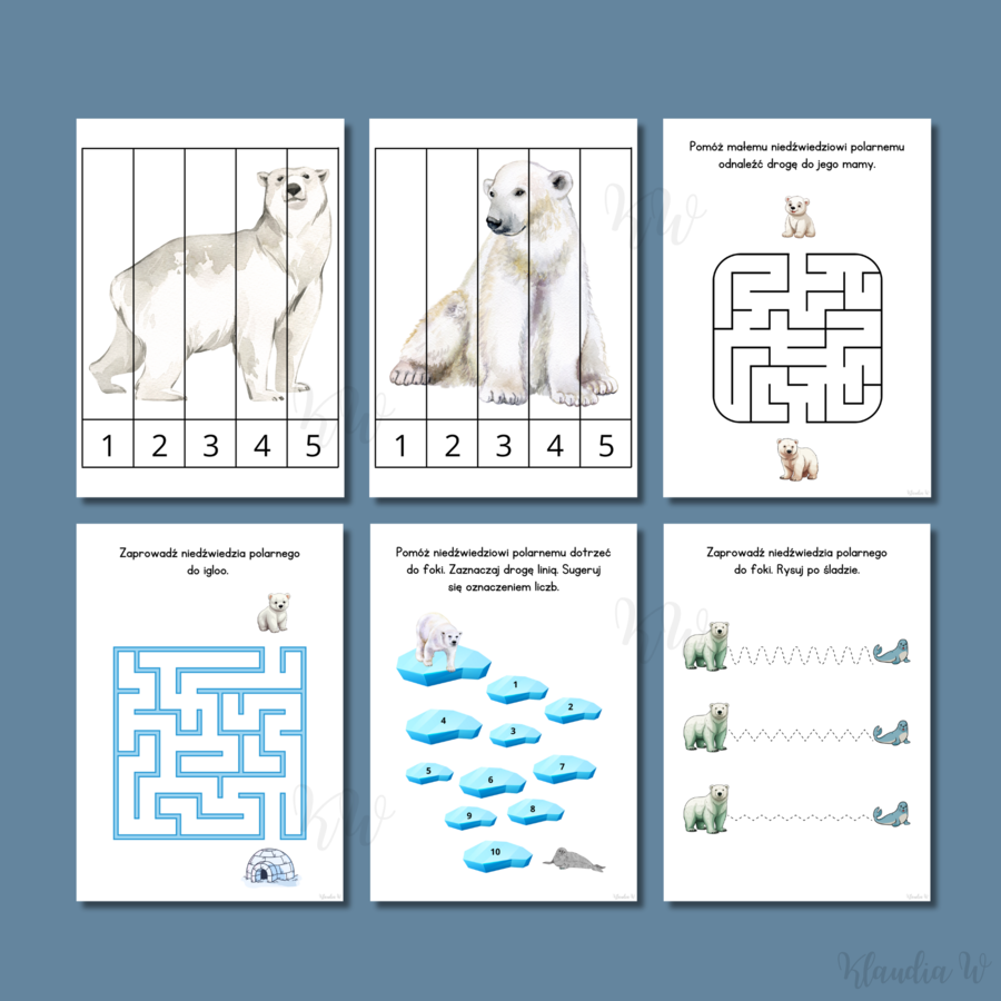 Dzień Niedźwiedzia Polarnego - zestaw