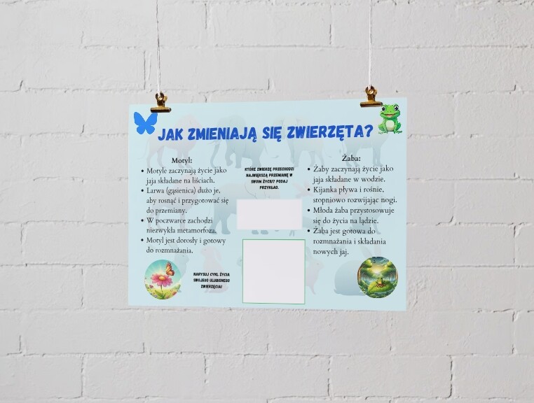 Plakaty edukacyjne. Cykl życia roślin i zwierząt. Różnorodność biologiczna. Jak chronić środowisko? Pięć zasad ekologii.