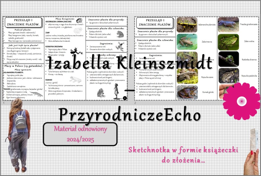 Sketchnotka/książeczka/notatka/wklejka/ściąga dla ucznia i przypomnienie dla nauczyciela/edukacja domowa. Temat „Przegląd i znaczenie płazów”. Materiał w pdf. Biologia 6, dział „Kręgowce zmiennocieplne”. Nowość 2024/2025.