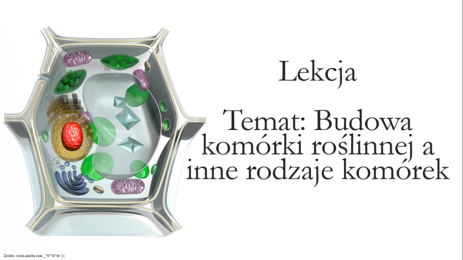 Budowa komórki roślinnej - klasa 5 - scenariusz