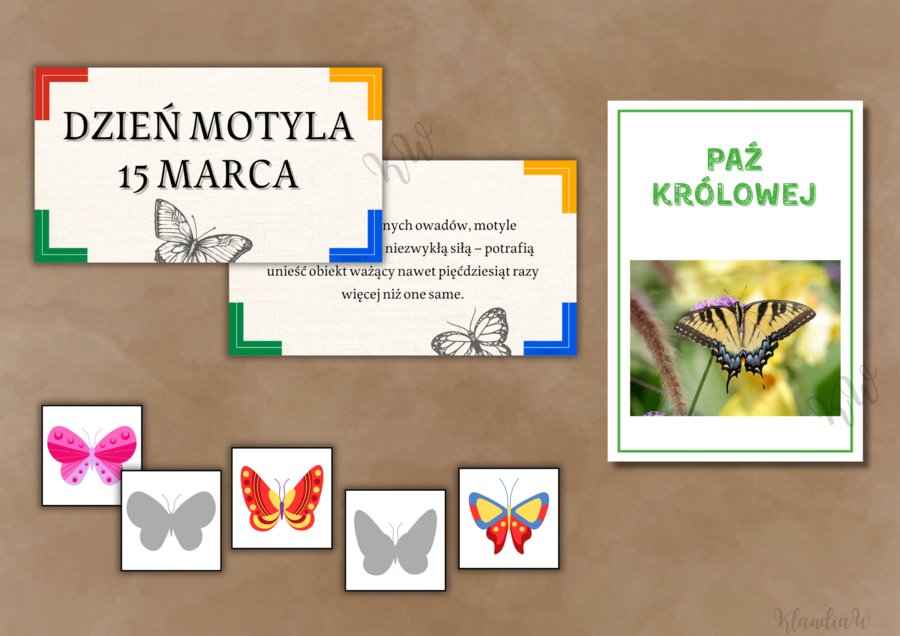Dzień Motyla - zestaw