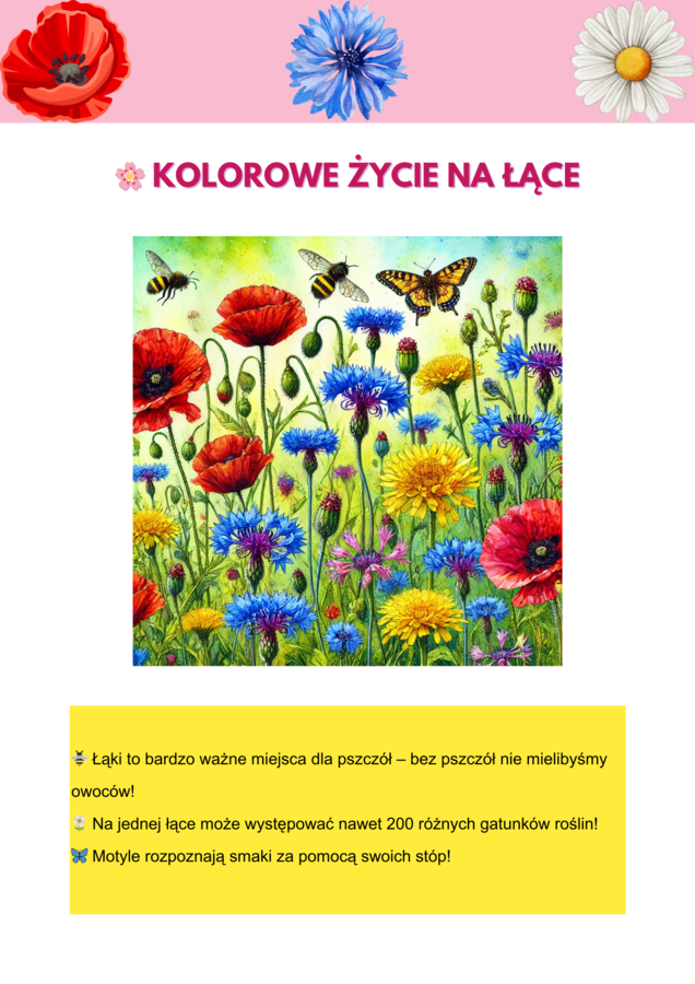 Kolorowe plakaty. Różne ekosystemy. Las, Jezioro, Góry, Łąka, Morze.