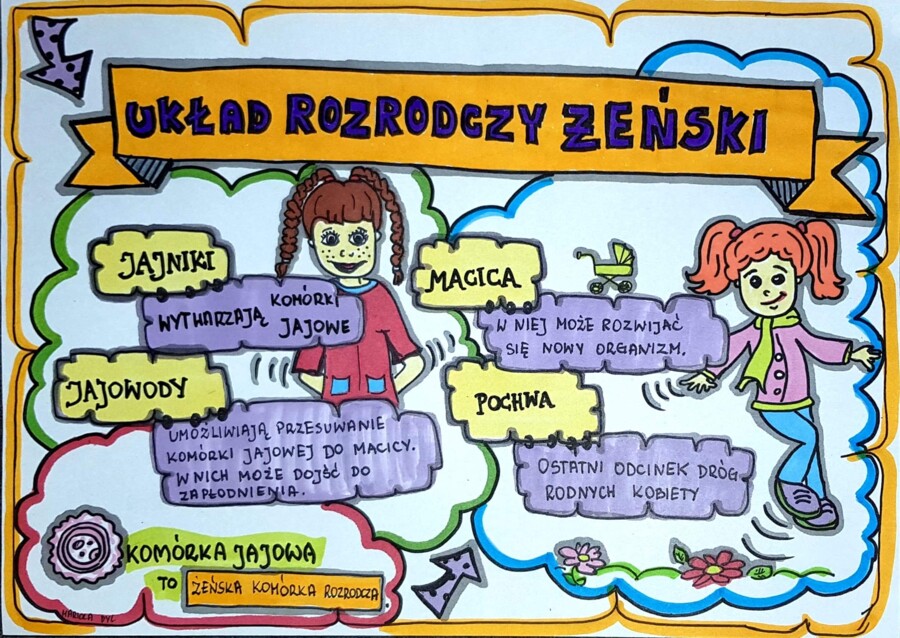 Klasa 4. Przyroda: Układ rozrodczy żeński (dwie karty pracy).