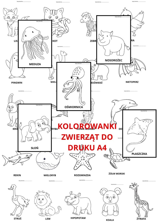 KOLORWANKI ZE ZWIERZĘTAMI DO DRUKU A4 26 KOLOROWANEK