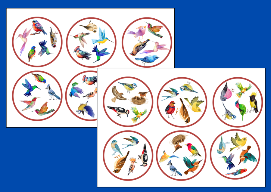 DZIEŃ PTAKÓW – wiosna - biblioteka – świetlica – przedszkole – DOOBLE – 36 szt.