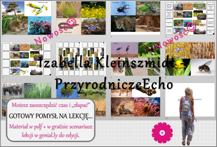 Pomysł na lekcję/karta pracy/stacje zadaniowe/notatki/ materiał do lekcji do tematu „Organizm a środowisko” w pdf. W gratisie niekomercyjny scenariusz lekcji/pomysł na lekcję w programie genial.ly do edycji. Na podstawie wydawnictwa Nowa Era. Biologia 8.