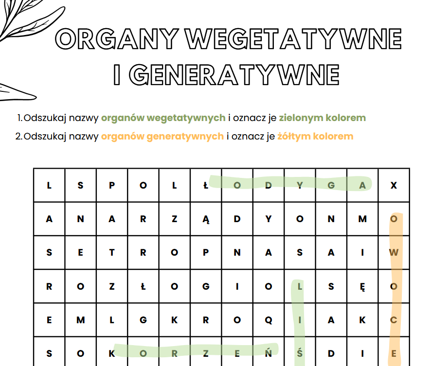 Organy wegetatywne i generatywne roślin (liście, łodyga, korzeń, owoce, kwiat)