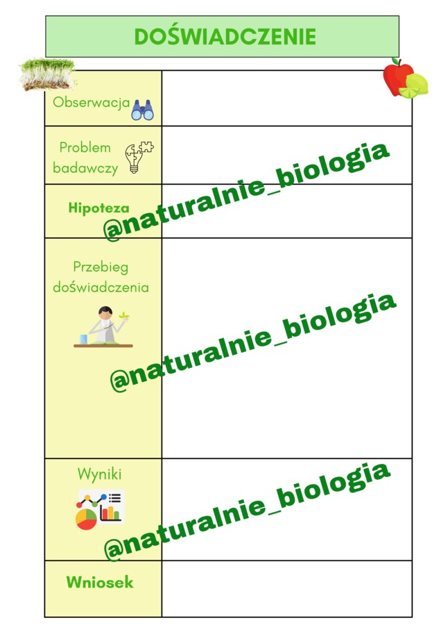 Etapy doświadczenia biologicznego