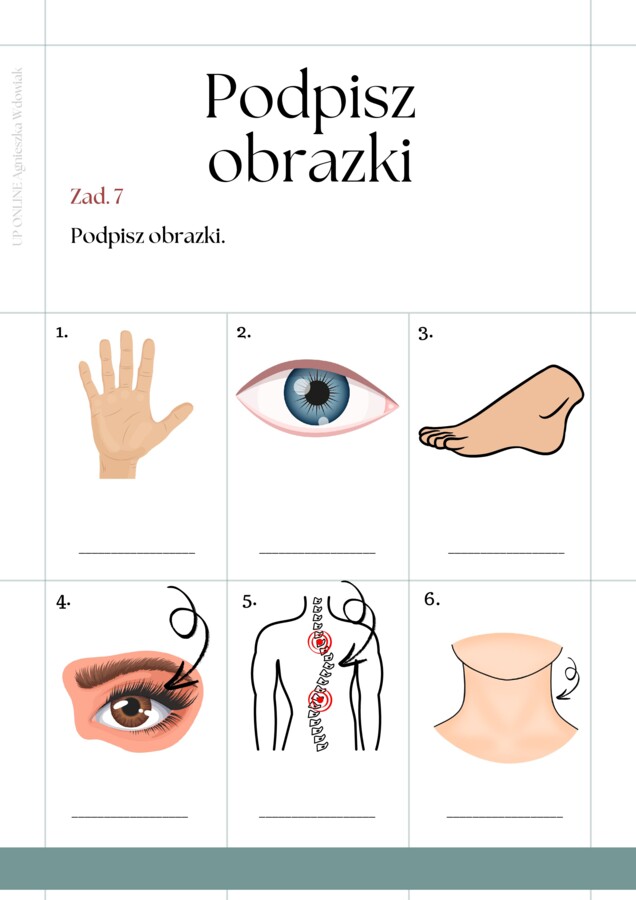Części ciała workbook + kurs fiszkowy