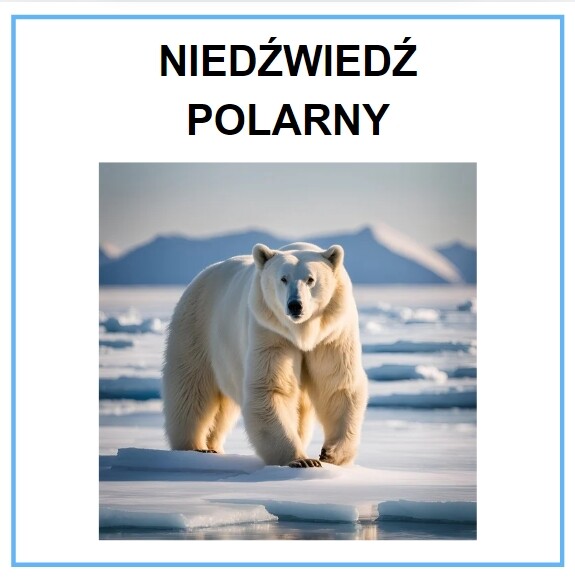 Gra memory. Gatunki zwierząt / roślin i ich środowiska. 30 kart