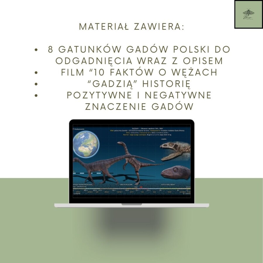 Przegląd i znaczenie gadów - gra zgadnij kto to
