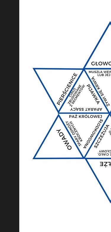 Trimino- pierścienice, stawonogi i mięczaki