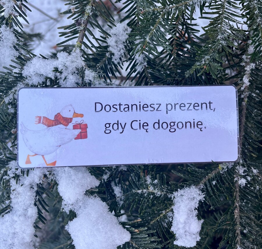 Zdania złożone podrzędnie - przykłady świąteczne - Boże Narodzenie