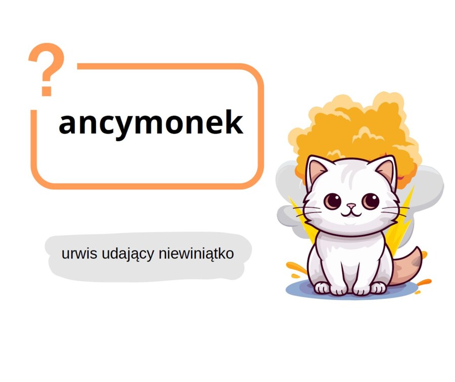 Ćwiczenia słownikowe – rzadkie słowa cz. 2