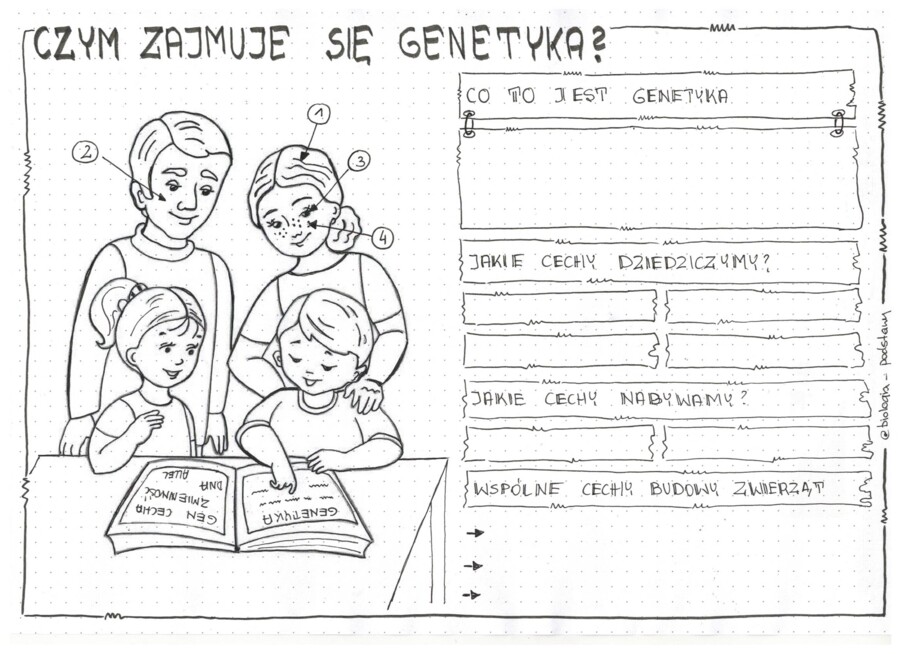 Klasa 8 - Czym zajmuje się genetyka? - sketchnotka