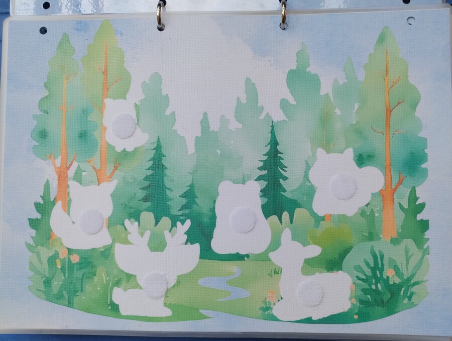 Zwierzęta i ich cienie