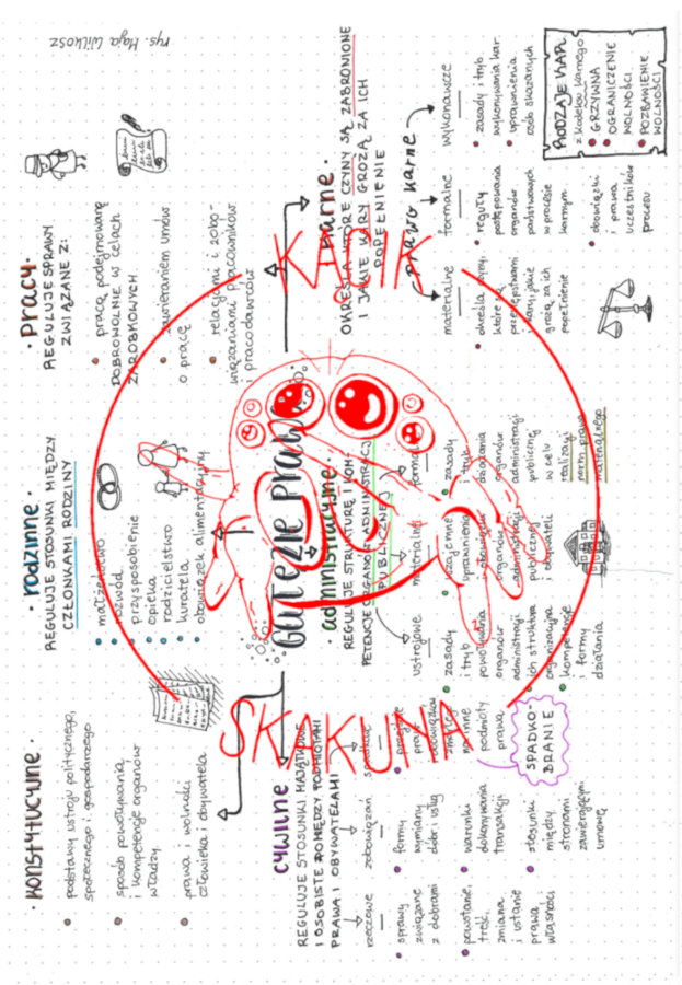 Gałęzie prawa - HISTORIA I TERAŹNIEJSZOŚĆ/WIEDZA O SPOŁECZEŃSTWIE