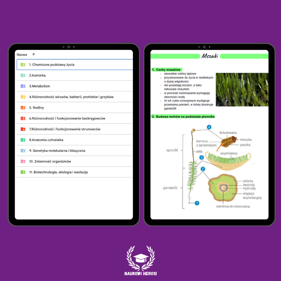 Notatki maturalne - Biologia