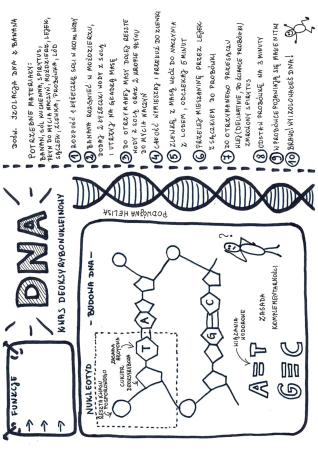 izolacja DNA