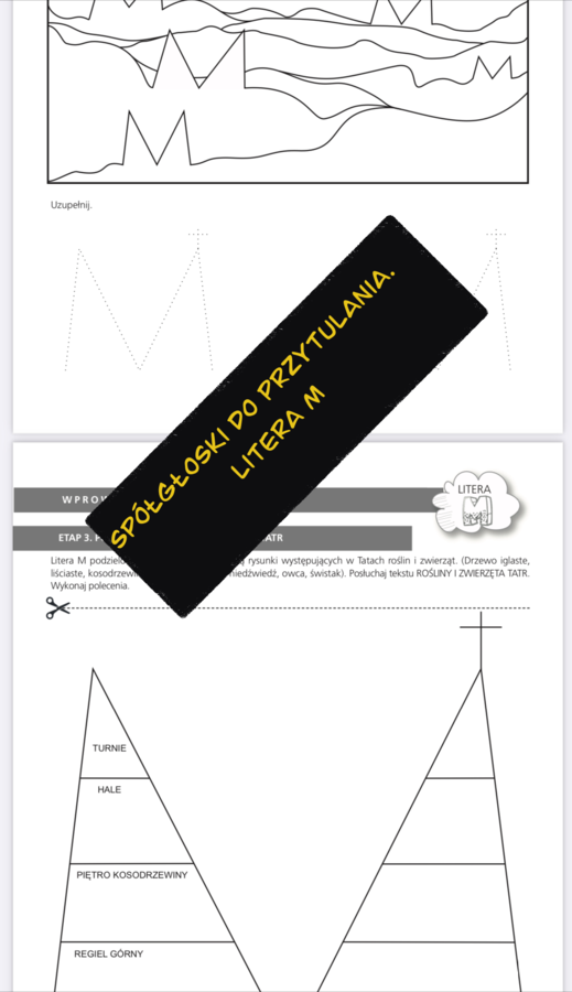 Spółgłoski do przytulania. Monografia litery M
