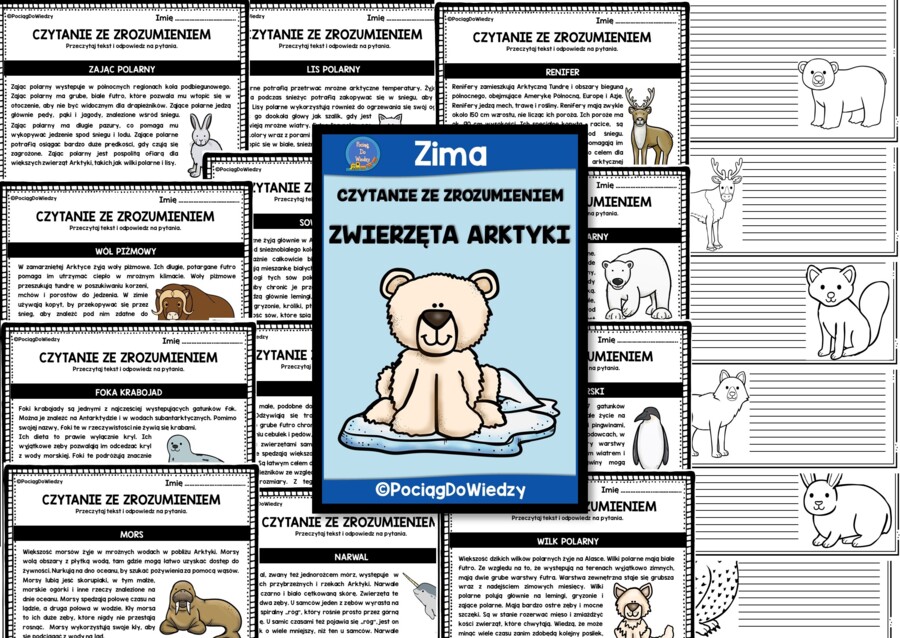 Czytanie ze zrozumieniem - Zwierzęta Arktyki