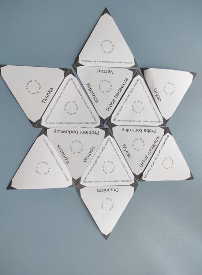 Hierarchiczna budowa organizmów + etapy doświadczenia