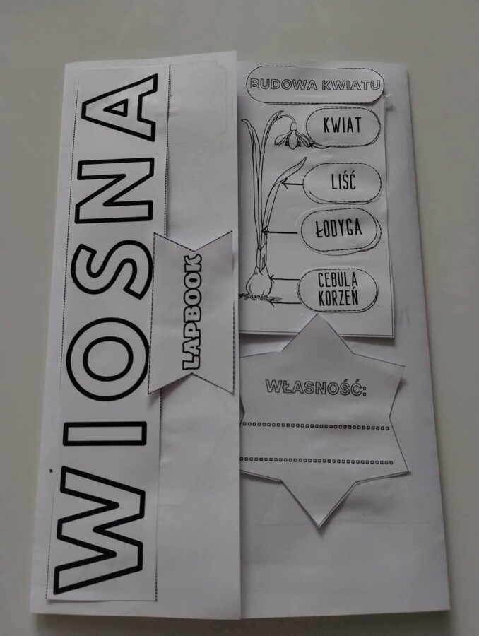Lapbook wiosna