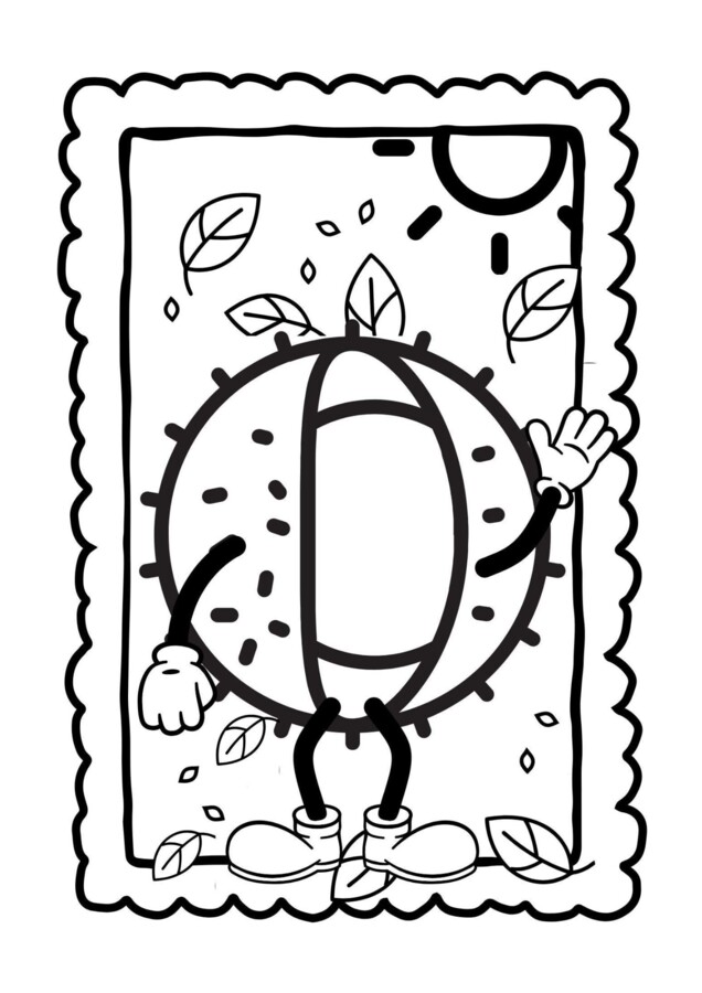 "Od liścia do śnieżynki"- projekt przyrodniczy dla przedszkoli i klas 1-3