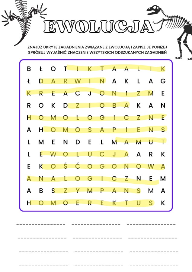 Wykreślanka -ewolucja