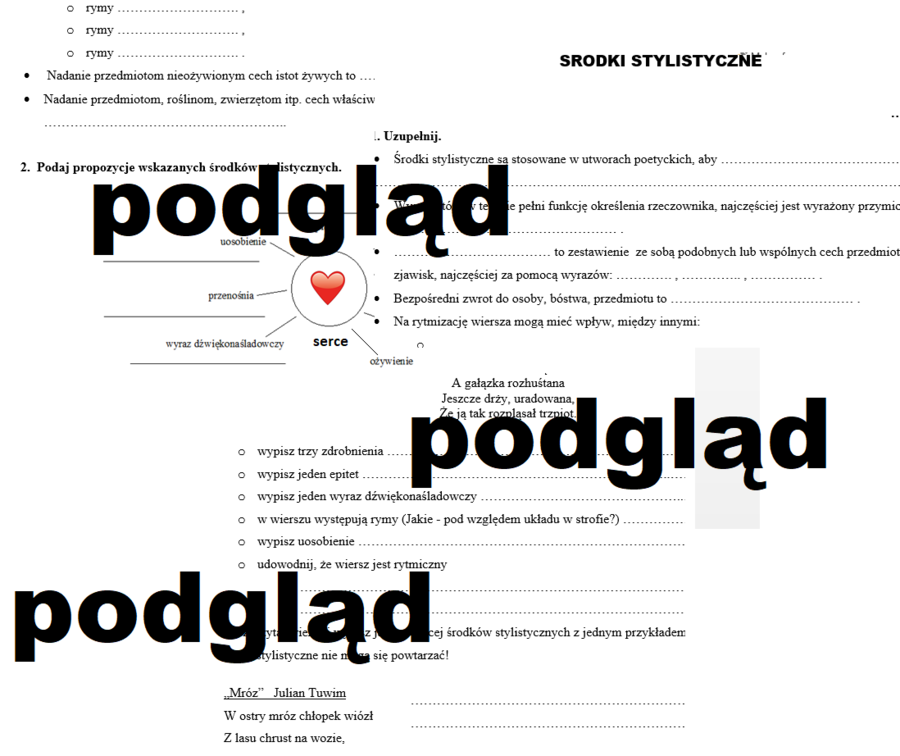 Środki stylistyczne poetyckie sprawdzian klasa 6, 7, 8