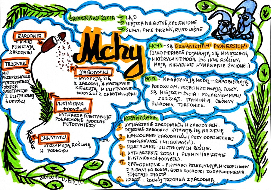 Klasa 5. Biologia. Mchy (karta pracy kolorowa)