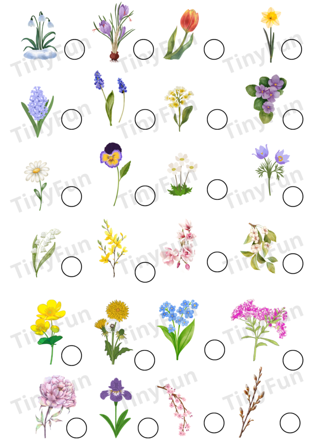 Wiosenne kwiaty i rośliny – gra memory, karty edukacyjne i terenowa zabawa przyrodnicza