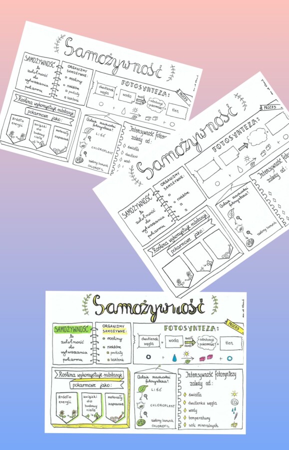 Biologia klasa 5 sketchnotki 40kart!