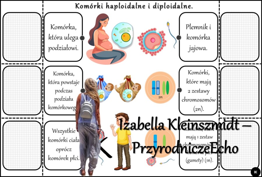 Notatka okienkowa/stacja zadaniowe/notatka/notatka graficzna/karta pracy/sketchnotka „Podziały komórkowe”, „Mitoza i mejoza”, „Znaczenie biologiczne mitozy i mejozy” w pdf. Biologia 8 dział „Genetyka”. Materiał wykonany na podstawie podręcznika z wydawni
