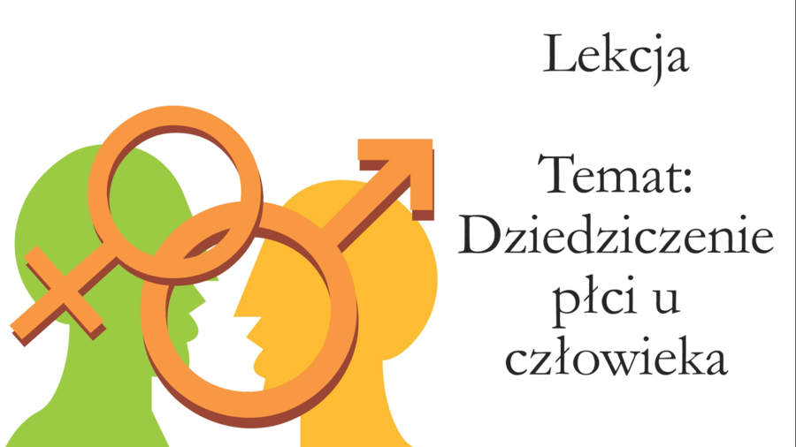 Klasa 8 - Dziedziczenie płci u człowieka - prezentacja