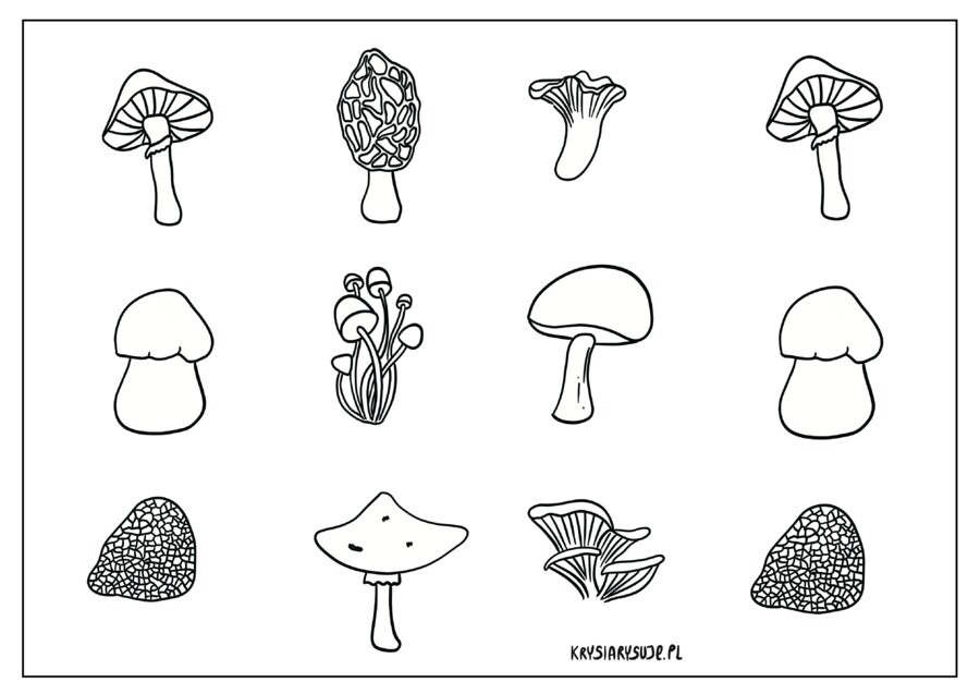 Grzyby. Kolorowanka