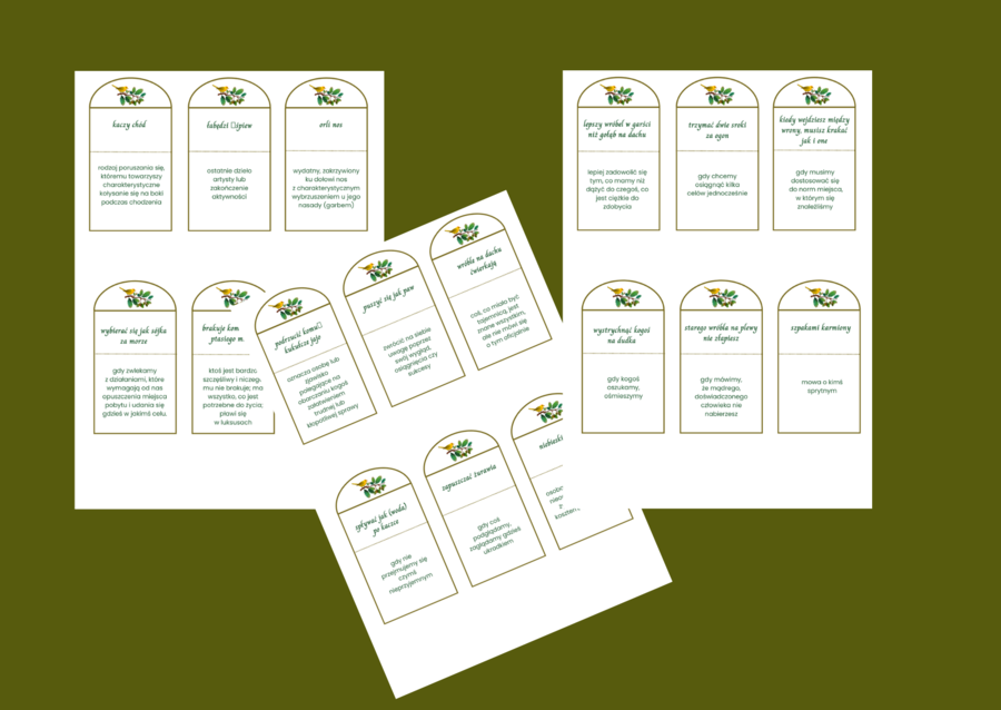 DZIEŃ PTAKÓW – wiosna - frazeologizmy – ZWIĄZKI FRAZEOLOGICZNE - fiszki – 30 szt. kl. 4-8 – egzamin – powtórzenie- ćwiczenia – frazeologizmy