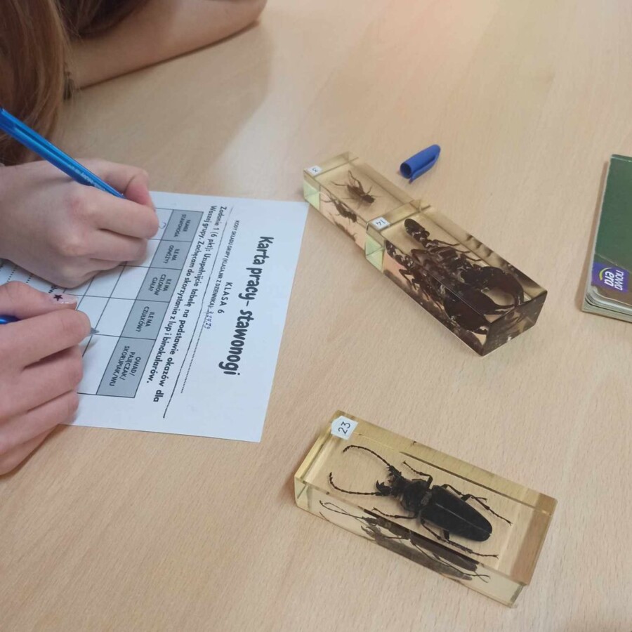 Karta pracy - stawonogi