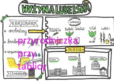 Wyżyna Lubelska