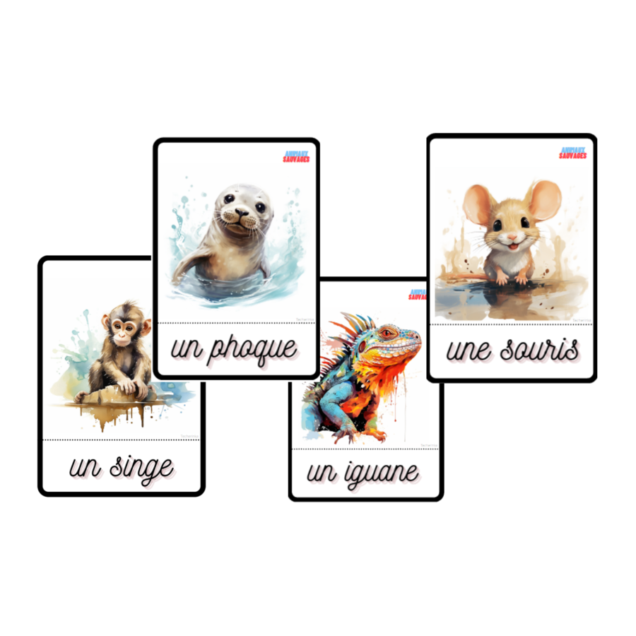 Les animaux sauvages, Dzikie zwierzęta, język francuski, karty obrazkowe i wyrazowe FLE