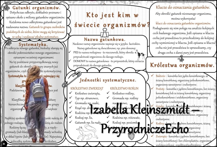 Zestaw sketchnotek/notatek/streszczeń/wklejek/ściąg dla ucznia i nauczyciela w pdf. Biologia 5 dział „Klasyfikacja i systematyka. Wirusy. Bakterie. Prostisty. Grzyby.”. Notatki zostały wykonane na podstawie podręcznika z wydawnictwa WSiP.