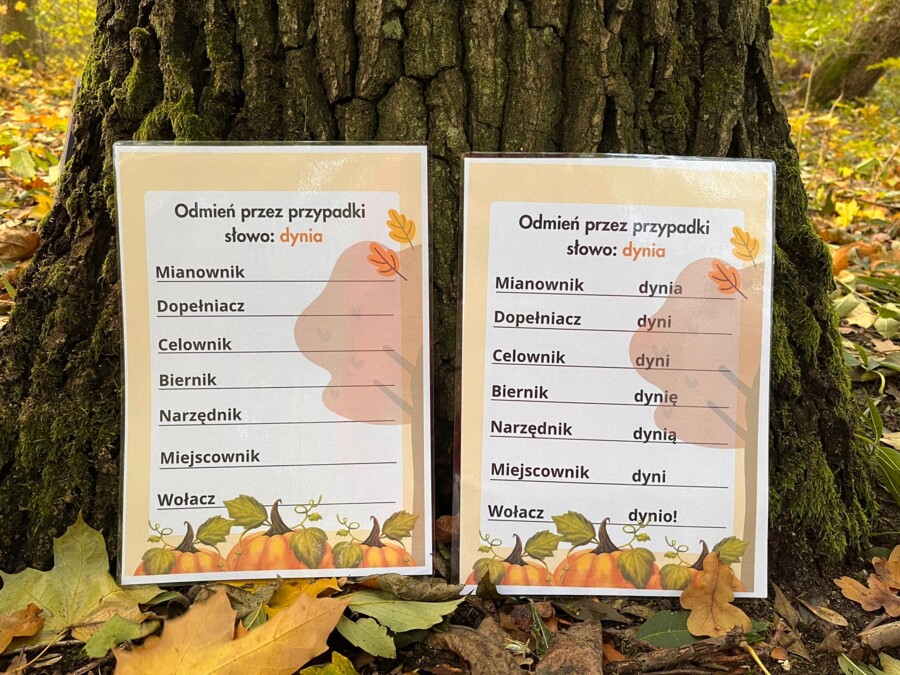 Dynia - odmiana przez przypadki