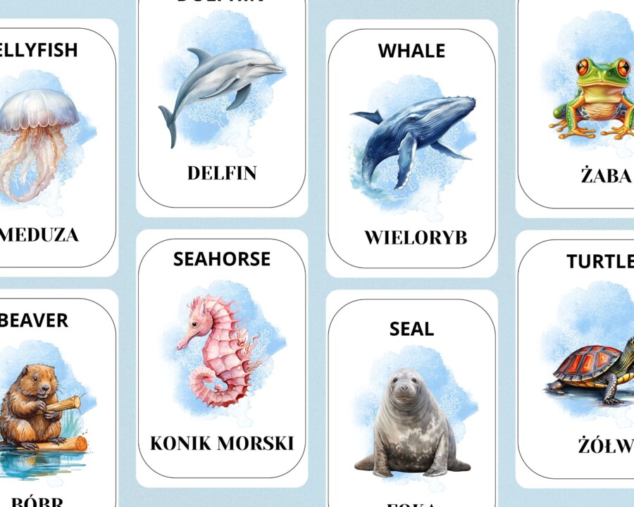 KARTY EDUKACYJNE ZE ZWIERZĘTAMI WODNYMI I MORSKIMI 12