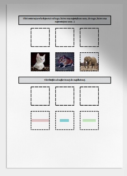 Porządkowanie według określonej zasady. Karta pracy. Sprawdzian.