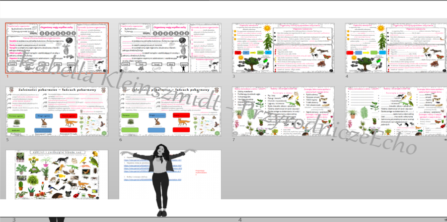 Zestaw sketchnotek i kart pracy + gratisowe linki do prezentacji multimedialnych niekomercyjnych wykonanych w genial.ly do indywidualnego pobrania i użycia do celów niekomercyjnych. Przyroda 4, „Poznajemy świat organizmów”
