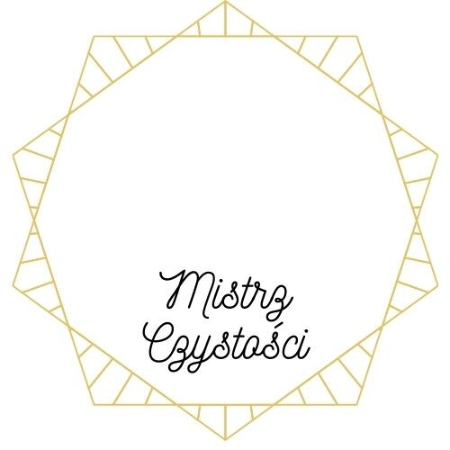 Medal Mistrz Świetlicy