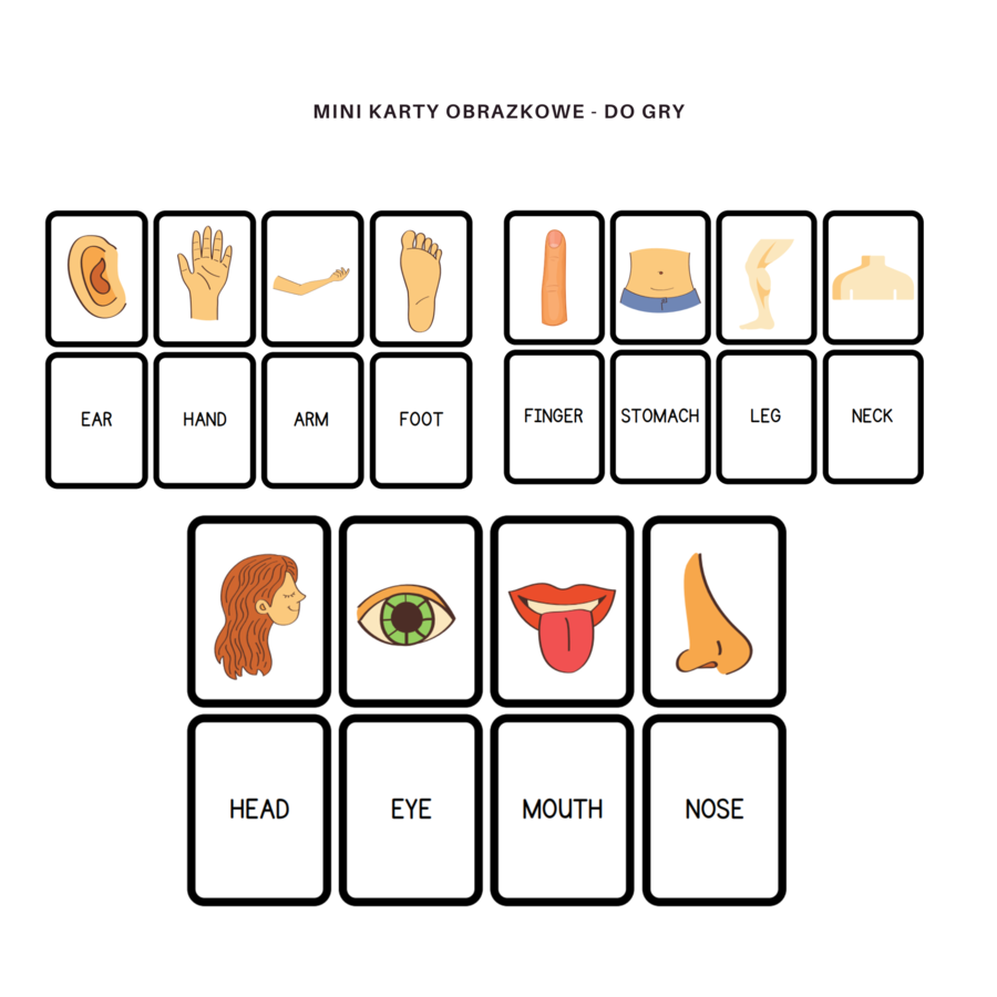 My body set - zestaw do nauki części ciała, organów oraz 5 zmysłów, CLIL