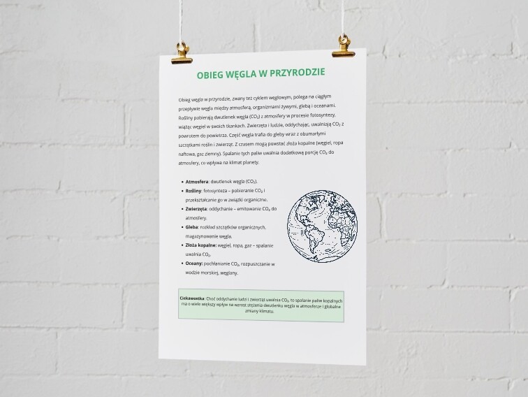 Infografiki. Cykl wodny. Obieg węgla w przyrodzie. Łańcuch pokarmowy