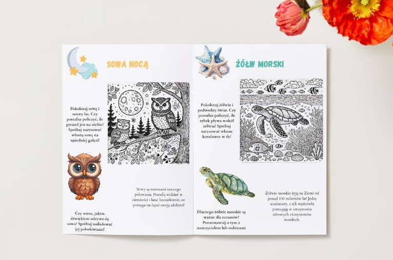 Kolorowanki ekologiczne. Zwierzęta. Rośliny. Środowisko naturalne.